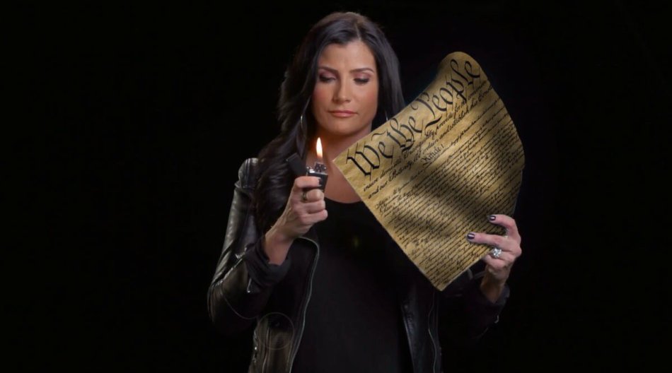danaloesch_Constitution
